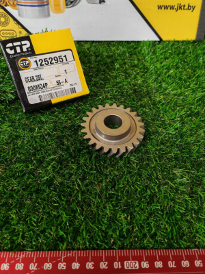 1252951CTP (2)