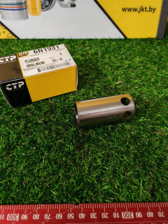 6N1931CTP (2)